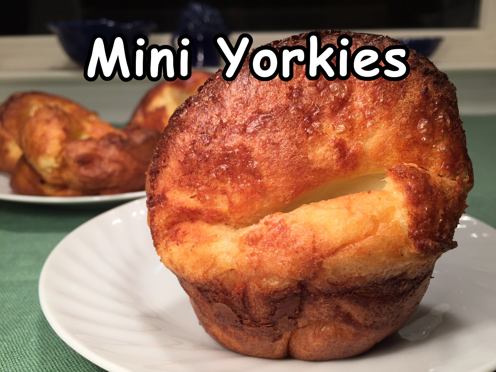 mini yorkies text
