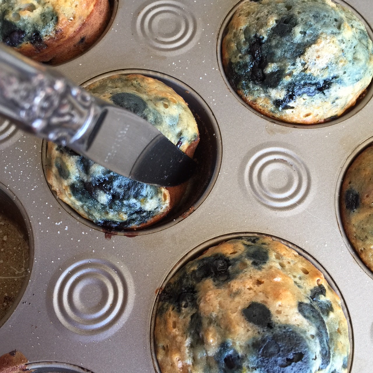 blueberry muffin nonfat4