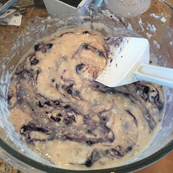 blueberry muffin nonfat7