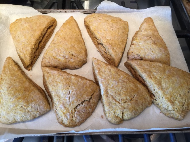 pumpkin scones7