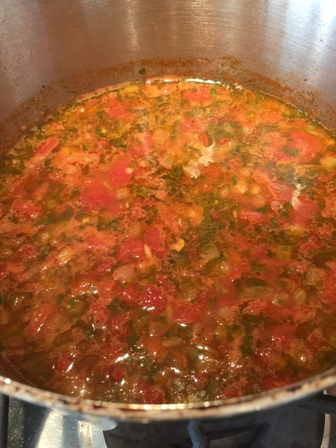 lentil-chickpea soup3